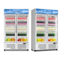 Vitrine Réfrigérée Commerciale à Température Unique à Refroidissement Direct par Air (Chiller)