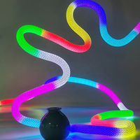 Kit de bande lumineuse LED néon RGBIC 5M à 360 degrés, effet de poursuite des couleurs, en nylon flexible et silicone, IP67, 5V, tressée