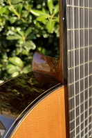 Aiersi Glossy Classical 7 String Guitar All Solid Cedar Spanish Crafted Skill String Instrument for Professional