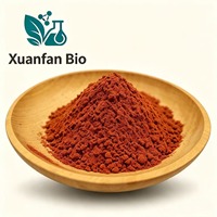 Approvisionnement direct usine : Poudre de polyphénols de thé vert 98% (50% EGCG) – Extrait de feuilles de Camellia Sinensis soluble dans l'eau, qualité alimentaire, en fût, avec COA