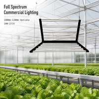 Lampe de culture LED à spectre complet en aluminium 1000W 1200W, pliable, 100-277V, IP54, ETL, RJ12, gradation, fourniture OEM professionnelle