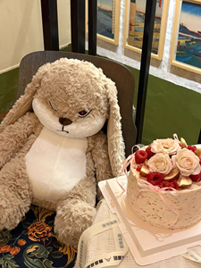 Popular Juguete de Peluche de <span class=keywords><strong>Conejo</strong></span> Diudu en Línea, Figura de <span class=keywords><strong>Conejo</strong></span> Súper Suave, Famoso en Internet, Peluche Reconfortante, ODM, Regalo de San Valentín - Product Image 3