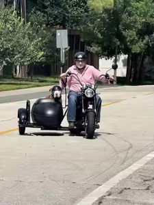 Tricycle électrique à pneus larges 2026 3000W avec side-car, vélo électrique pour transporter des animaux, trois roues, assistance au pédalage, 4000W, vélo de route avec side-car, <span class=keywords><strong>chopper</strong></span> - Product Image 2