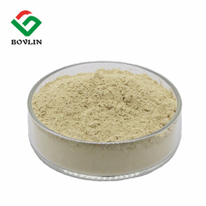 Best Price Natural <strong>Celery</strong> Seed <strong>Extract</strong> Organic <strong>98</strong>% Bulk <strong>Apigenin</strong> <strong>Extract</strong> Powder - Product Image 3