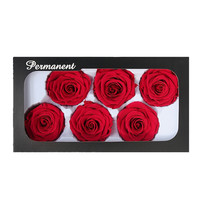 Ecuador Konservierte Rosenköpfe 5-6cm Rote Farbe Langlebige Rosen