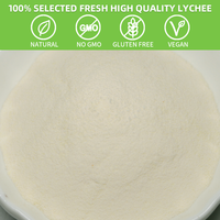 SAIYANG levert 100% biologisch lychee fruitpoeder, gratis monster, natuurlijk lychee sap poeder, lychee extract, lychee poeder