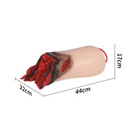 Maniquí de Hemostasia de Heridas para Enseñanza Médica DARHMMY, Amputación de Pierna Traumática Realista, Torso para Prácticas de Respuesta Médica, PVC