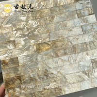 Vente chaude de mosaïques en coquillages naturels 300*300mm pour le hall d'hôtel, le mur de l'appartement, la chambre à coucher, la buanderie, les carreaux décoratifs d'intérieur