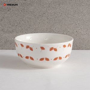 ชุดจานเซรามิก 12 ชิ้น 16 ชิ้น ชุดชาม แก้วน้ำ ครบชุด ลายใบแปะก๊วย สำหรับอาหารเช้า ชุดอาหารค่ำ ลายพิมพ์บนเซรามิก - Product Image 3