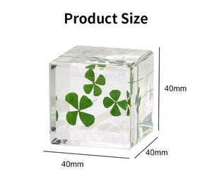 Flores Reales en Resina, Artesanías, Artículos de Decoración para el Hogar, Colección de Plantas, Set de Regalo de Cosecha, Artefactos Coleccionables Creativos y Culturales - Product Image 2