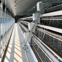 Système de cages automatiques pour poules pondeuses en acier galvanisé à chaud, type A, pour ferme avicole de 1000 à 10 000 oiseaux