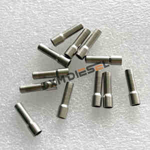 Filtre d'entrée d'injecteur Common Rail DXM neuf 093152-0320 0931520320 pour camions - Product Image 4