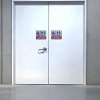 Puerta Cortafuego de Acero para Salida de Emergencia con Ventana de Observación, Apta para Escuelas, Centros Comerciales y Sótanos
