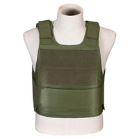 Gilet d'entraînement tactique léger personnalisable Produit de sécurité extérieur multifonctionnel avec gilet tactique de protection durable