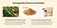 Gummies à l'ashwagandha, complément adaptogène à base de plantes, soulagement du stress, soutien de l'humeur et de l'énergie, végétalien, sans gluten, non OGM