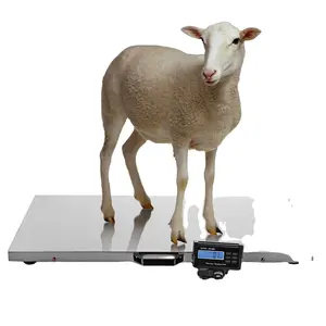 500KG Stainless Steel Platform Postal Scale Digital Pet Weighing Animal Scale For Pet Hospitals