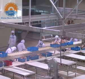 Linea Completa di Attrezzature Moderne ZBHT per Macellazione, Tavolo di Lavorazione e Taglio per Bovini, Ovini e Suini <span class=keywords><strong>in</strong></span> Mattatoio - Product Image 4