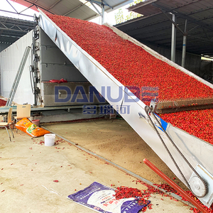 Équipement industriel de déshydratation et de traitement des fruits : Convoyeur à mailles, machines de nettoyage, de découpe et de transformation des pêches et citrons - Product Image 3