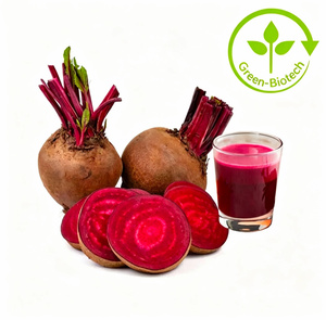 Polvere di Barbabietola Rossa al 20% per Maschere, Best Seller - Product Image 4