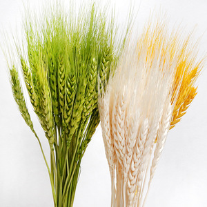 G105 <span class=keywords><strong>Bouquet</strong></span> de grains de blé naturel <span class=keywords><strong>Bouquet</strong></span> d'herbe sèche Arrangements de bricolage <span class=keywords><strong>Bouquet</strong></span> de tiges de gerbes de blé séché - Product Image 1