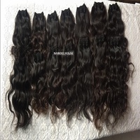 Nandee House Cheveux Indiens 100% Vierges, Double Trame Faite à la Machine, Haute Qualité, Aspect Naturel, Cheveux de Temple, Lisses, Décolorés Naturellement 613