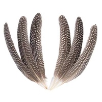 Plumes de faisan de carnaval de 15 à 20 cm, queue argentée naturelle, accessoires de bricolage, masque de scène, matériaux décoratifs