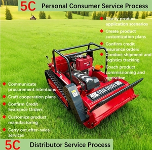 Cortadora de Césped Industrial Diésel de <span class=keywords><strong>800</strong></span> mm con Control Remoto, 4 Tiempos, para Terrenos Inclinados y Huertos - Product Image 3