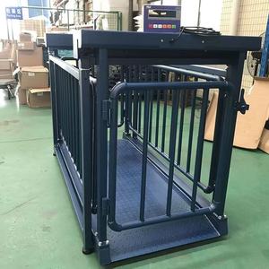 Vieh rutsche und Wiege plattform Boden waage für Schweine gebrauchte Vieh waage - Product Image 5