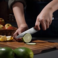 PAUDIN 67 couches d'acier japonais de coupe de fruits légumes épluchage avec bois d'ébène noir + manche en corne de buffle