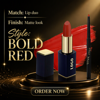 Rouge à lèvres liquide minéral mat de marque privée, certifié CE, 4g, vente en gros, logo personnalisé, fabricant OEM ODM, longue tenue