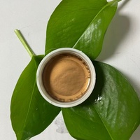 Acide Linéaire Alkylbenzène Sulfonique (LABSA) 96% en Gros pour Agent Humectant du Cuir