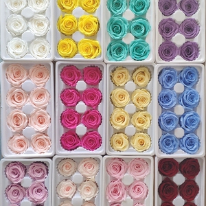 Cabezas de Rosa al por Mayor, Cabezas de Rosa Eternas <span class=keywords><strong>Estabilizadas</strong></span>, Flores de Rosa Preservadas para Decoración DIY - Product Image 1