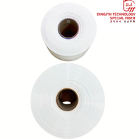 Fil mère en nylon 6 semi-mat (SD) pour la fabrication de monofilaments fendus 180D-500D, fil fendu en polyamide 6 pour tissu mat