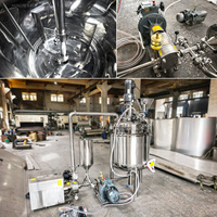 Mélangeur de réservoir en acier inoxydable à double enveloppe, cuve de mélange en acier inoxydable SUS304 316L, agitateur sous vide