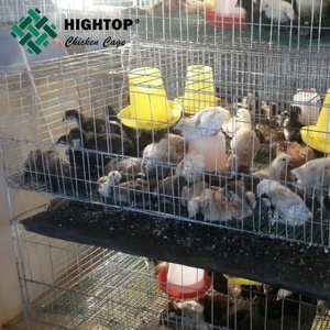 Ferme avicole bébé <span class=keywords><strong>poussin</strong></span> <span class=keywords><strong>couveuse</strong></span> cage/jour vieille cage de poulet à vendre - Product Image 1