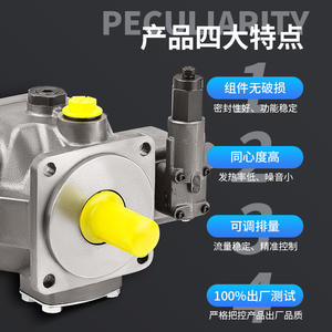 ปั๊มน้ำมันไฮดรอลิก Dekema Lixroth สภาพใหม่ รุ่น PV7 ปั๊มใบพัดปรับความเร็วได้แบบควบคุมด้วยระบบ Pilot รุ่น PV71X ปั๊มใบพัดคู่ - Product Image 3