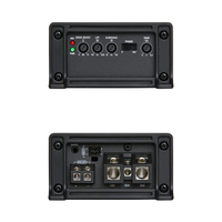 Amplificateur de voiture micro compact haute puissance 1 canal RMS 600W |   Amplificateur monobloc à circuit imprimé double couche classe D