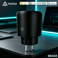 Prise intelligente Wi-Fi OEM ODM Matter EU 16A avec suivi de consommation, programmation, contrôle local, compatible Alexa et Google Home
