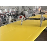 4x8ft 3D Mur PVC Panneau Coloré Étanche 18mm Feuilles De Plastique Stratifié et Imprimé 20mm D'épaisseur