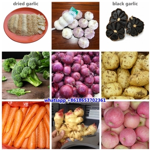 Trung Quốc hành tây 10kg 20kg lưới túi giá bán buôn tươi hành tây đỏ để bán - Product Image 3