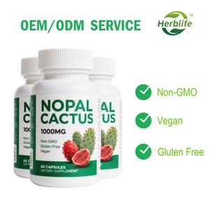 Complément alimentaire à base d'extrait de cactus Nopal avec racine de Maca et Tongkat Ali, sans gluten, capsules de cactus Nopal, fabrication en usine - Product Image 2