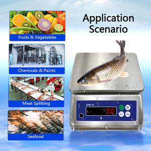 SHW-S5 3 किलो 6 किलो 15 किलो 30 किलो का वैकल्पिक डबल पक्षीय प्रदर्शन - Product Image 6