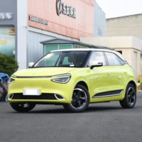 Dongfeng Nano 01 2025 430 Air Plus Smart + Max Comodidad interior y tecnología para uso familiar Mini coche eléctrico Nano 01