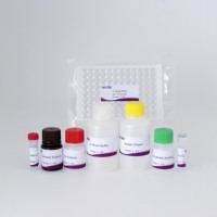 Kit ELISA PEDV pour la détection des anticorps du virus de la diarrhée épidémique porcine (PEDV) chez les porcs