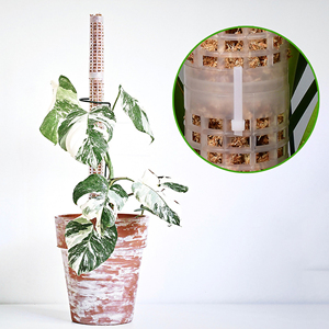 Cadre d'escalade pour plantes, tige de mousse empilable, tige de mousse en plastique creuse, tige de support pour plantes en pot - Product Image 5