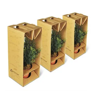 Boîtes d'emballage de plantes personnalisées, boîte en papier ondulé pour plantes naturelles en pot
