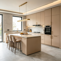 Juego de Muebles de Cocina Modulares Empotrados de Alta Gama con Encimera de Cuarzo Antracita Mate Contemporáneo a Precio de Fábrica