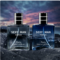 Vente en gros de parfum pour homme, spray longue durée, 55 ml, fournisseur direct d'usine, accepte l'OEM, étiquette privée