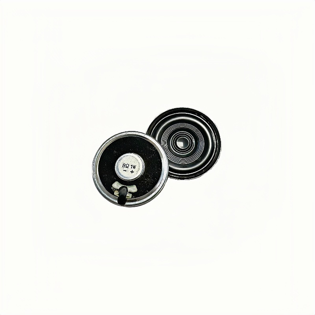45MM Round 8 Ohm 1W Mylar Horn Ultra-Thin Internal Magnetic High Quality Speaker