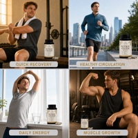 Capsules de Boost d'Oxyde Nitrique en Gros 0,5g 60 unités pour la Gym, la Fitness, l'Endurance, la Pompe Musculaire et la Récupération - Vente en Gros